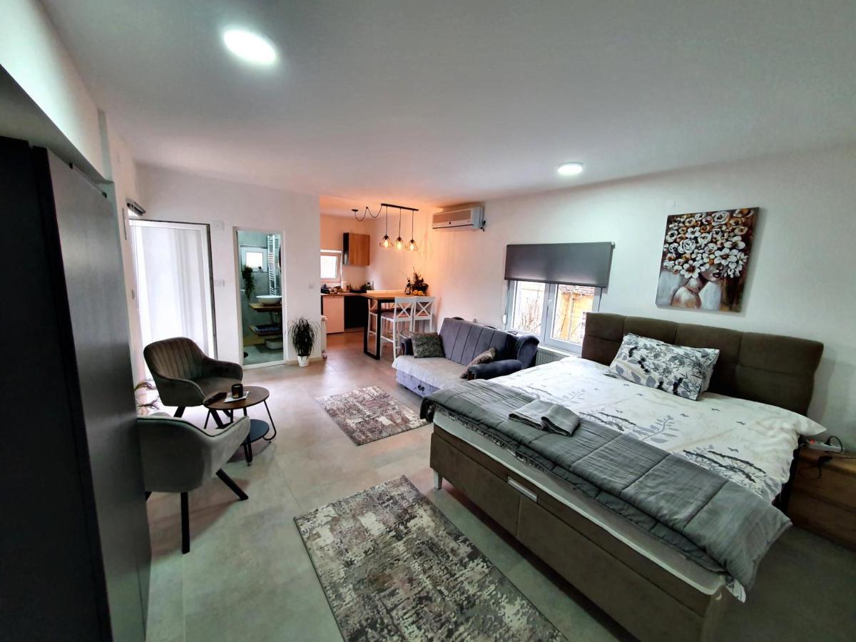 Luxor Apartmani 2 Врнячка-Баня Екстер'єр фото