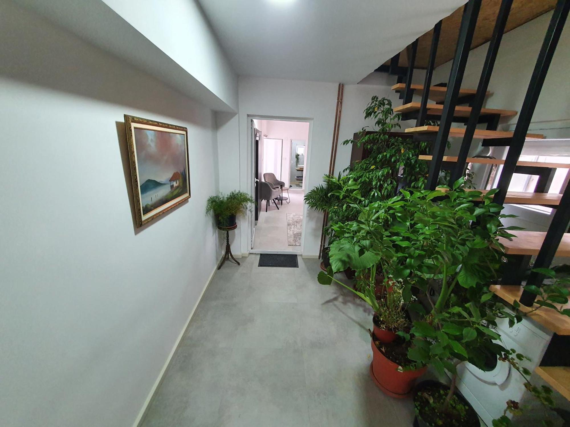 Luxor Apartmani 2 Врнячка-Баня Номер фото